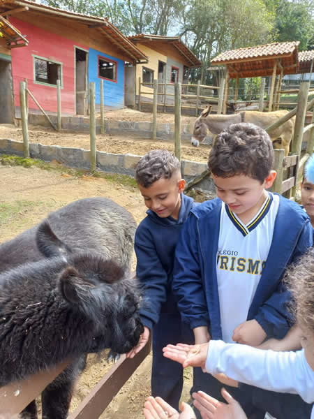 Bicho Mania 2022